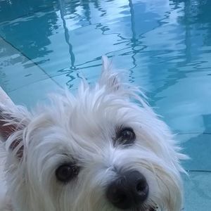 Meet your Posher, Janie